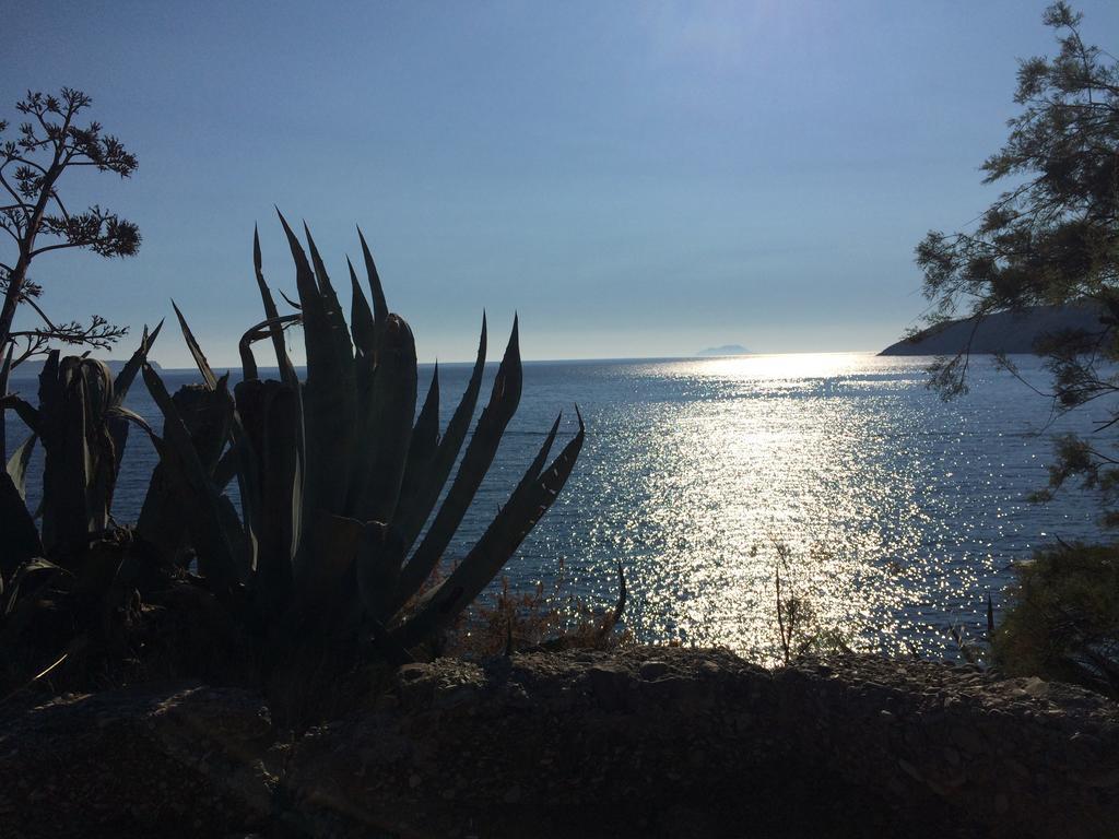 Villa Lavendel Trogir Dış mekan fotoğraf