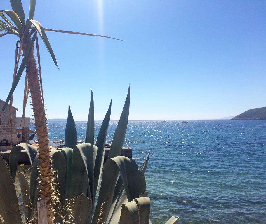 Villa Lavendel Trogir Dış mekan fotoğraf