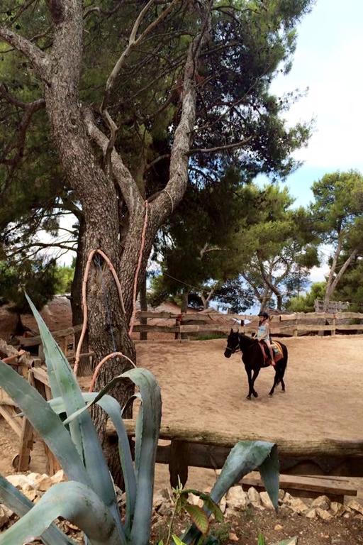 Villa Lavendel Trogir Dış mekan fotoğraf