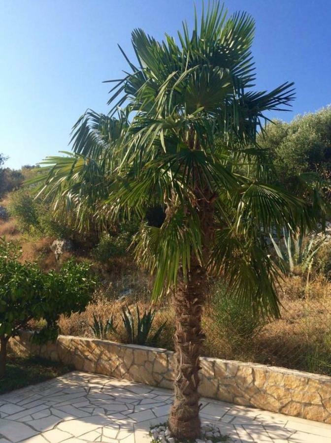 Villa Lavendel Trogir Dış mekan fotoğraf